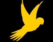 Category Icon