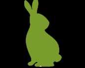 Category Icon