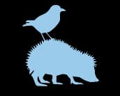 Category Icon