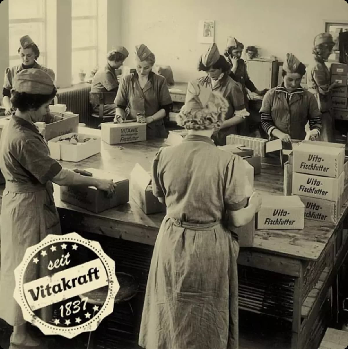 Historical Photo